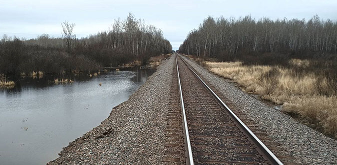 Water can’t drain due to culverts being blocked by beaver dams. Water can’t drain due to culverts being blocked by beaver dams.