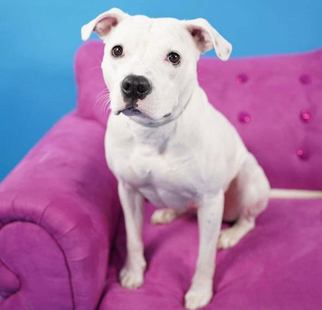 Georgia sitting on a couch Georgia sitting on a couch