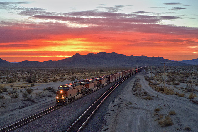 Ibis, California at sunrise, by Jodie Buschman.